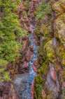Canada, Alberta, Waterton Lakes National Park. Stream flowing through Red Rock Canyon. Art Print